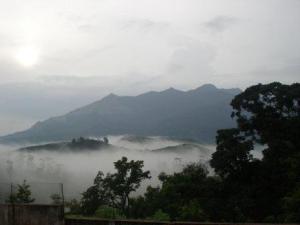 148396_134905619897192_2197791_n